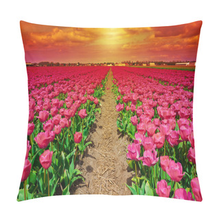 Personality  Dutch Tulips Pillow Covers