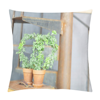 Personality  Pair Of Beautiful Small Green Climbing Plants In Clay Pots Placed On Shelf Next To Rusted Metal Stair Pillow Covers