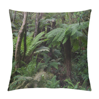 Personality  Rainforest With Ferns. Pillow Covers
