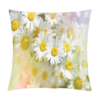 Personality  Background Of Camomiles Pillow Covers