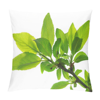 Personality  Tree Branch With Green Leaves Pillow Covers