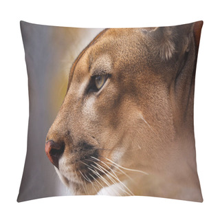 Personality  Portrait Of A Puma Or Mountain Lion Pillow Covers