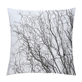 Personality  Leafless Tree Branches Perspective. Top Of Trees Against Sky Pillow Covers