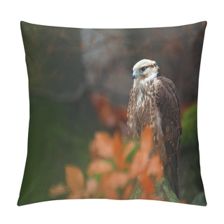 Personality  Lanner Falcon In Autumn Forest  Pillow Covers