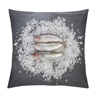 Personality  Fresh Sardines Or Pilchards On A Coarse Salt Layer Over A Slate Background Pillow Covers