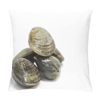 Personality  Clam Shells Pillow Covers