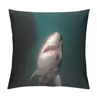 Personality  Sand Tiger Cruising Overhead Pillow Covers