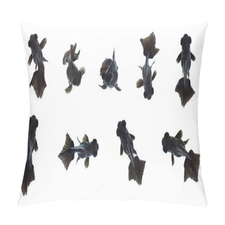 Personality  Group Of Black Goldfish Isolated On A White Background. Animal. Pet. Pillow Covers