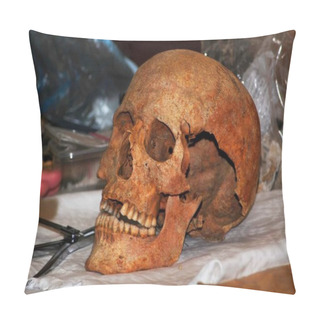Personality  Skull Of A Human, Brown Bones And Teeth On A Desk Pillow Covers