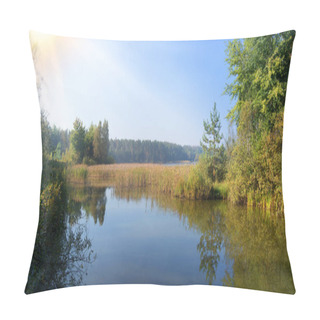 Personality  Bright Blue Quiet Yellow Sun Brook Bog Riverbank Cane Reed Sedge Wildlife Texture Scene. Light Green Color Calm Creek Bay Bank Field Reflect Scenic View Twilight Sunny Heaven Backdrop Text Space Pillow Covers