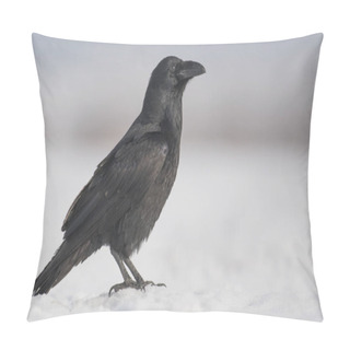 Personality  Close Up View Of Common Raven In Natural Habitat Pillow Covers