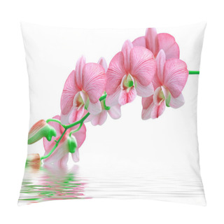 Personality  Flowers Red Orchids Pillow Covers