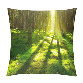 Personality  Bright Sun In The Forest  . Pillow Covers