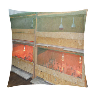 Personality  Cages With Infrared Lamps For Cultivation Will Cut Pillow Covers