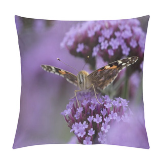 Personality  Painted Lady Pillow Covers