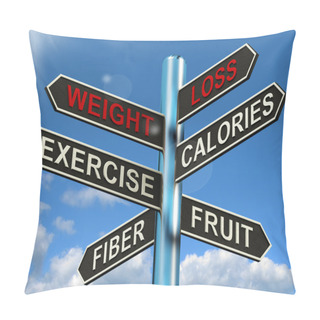 Personality  Weight Loss Signpost Showing Fiber Exercise Fruit And Calories Pillow Covers