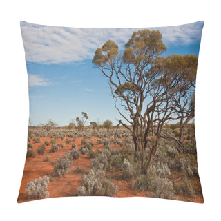 Personality  Australian Landscape Pillow Covers