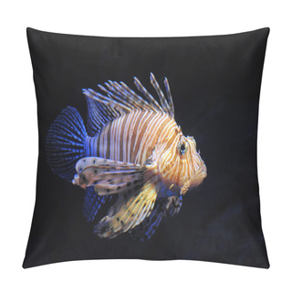 Personality  Red Lionfish Pillow Covers