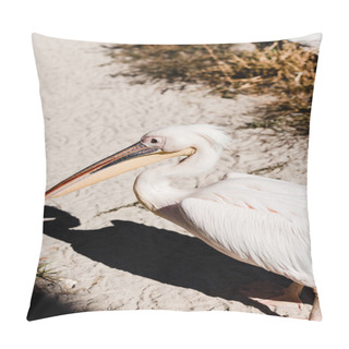 Personality  Pelican With Big Beak Walking On Ground Near Grass  Pillow Covers