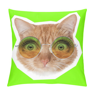 Personality  Contemporary Artwork Collage Concept. Portrait Of Cat With Human Eyes, Magazine Style Pillow Covers