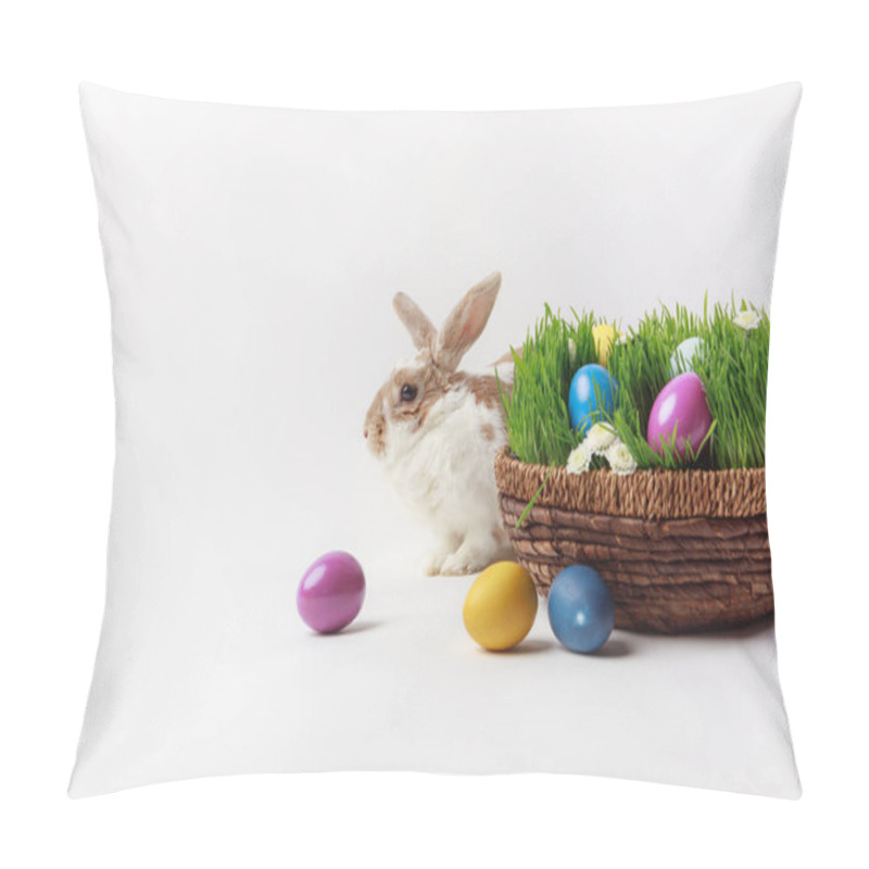 Personality  Easter pillow covers