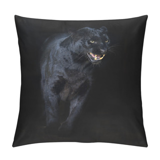 Personality  Amur Leopard Pillow Covers