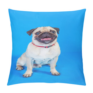 Personality  Canis Lupus Familiaris Pillow Covers