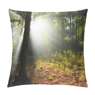 Personality  Morning In The Green Forest Pillow Covers