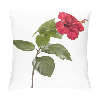 Personality  Painting Of Hibiscus Flower On White Background Pillow Covers
