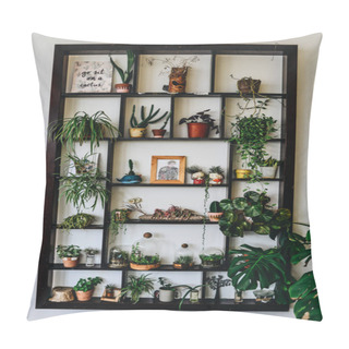 Personality  Many Green Plants On Wooden Shelf  Pillow Covers