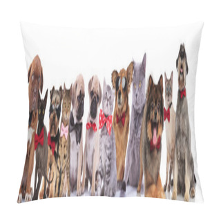 Personality  Adorable Team Of Stylish Cats And Dogs With Bowties Standing, Sitting And Lying On White Background Pillow Covers