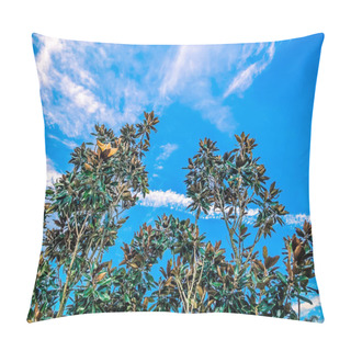 Personality  Magnolia Trees Against A Bright Blue Sky Pillow Covers