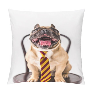 Personality  French Bulldog In Striped Necktie Pillow Covers