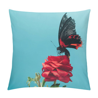 Personality  Close Up View Of Beautiful Butterfly On Red Rose Isolated On Blue Pillow Covers