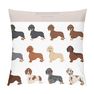Personality  Dachshund Short Haired Clipart. Different Poses, Coat Colors Set.  Vector Illustration Pillow Covers