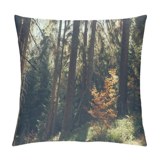 Personality  Scenic View Of Beautiful Green Forest In Carpathians, Ukraine Pillow Covers