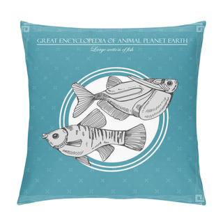 Personality  Great Encyclopedia Of Animal Planet Earth, Vintage Fishes Illustration Pillow Covers