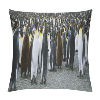 Personality  Large Colony Of Penguins Pillow Covers