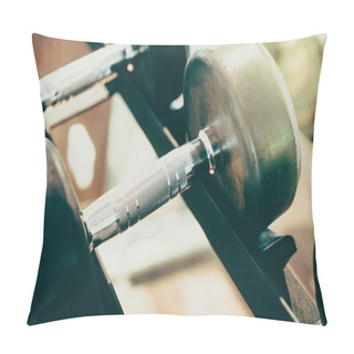 Personality  Dumbbells In Fitness And Gym Room Pillow Covers