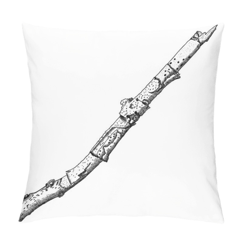 Personality  Hand drawn twig branch pillow covers