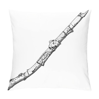 Personality  Hand Drawn Twig Branch Pillow Covers