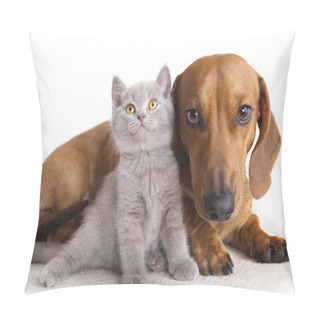 Personality  Cat And Dog Pillow Covers