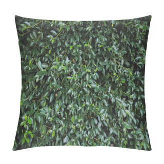 Personality  Natural Background Of Green Leaves With Vintage Filter Pillow Covers