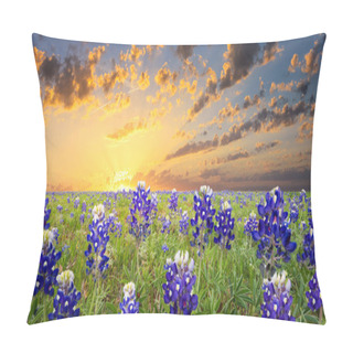 Personality  Bluebonnets Covering A Rural Texas Field At Sunrise Pillow Covers