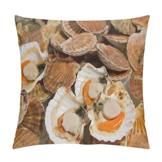 Personality  Opened Scallops Pillow Covers