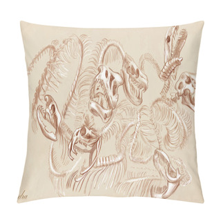 Personality  An Hand Drawn Vector: Hydra Pillow Covers