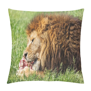 Personality  Animal Wild Cat Big Cat Wild Animal Endangered Feline Lions Mane Pillow Covers