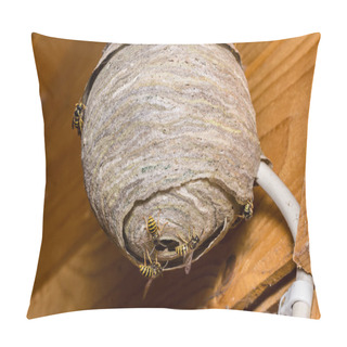 Personality  Wasp's Nest Under Construction Pillow Covers