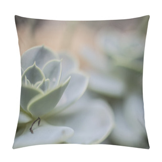 Personality  Vintage Botanical Photo Background Pillow Covers