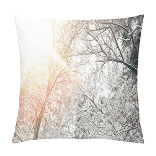 Personality  Low Angle View Of Snowy Winter Forest And Sunlight Pillow Covers